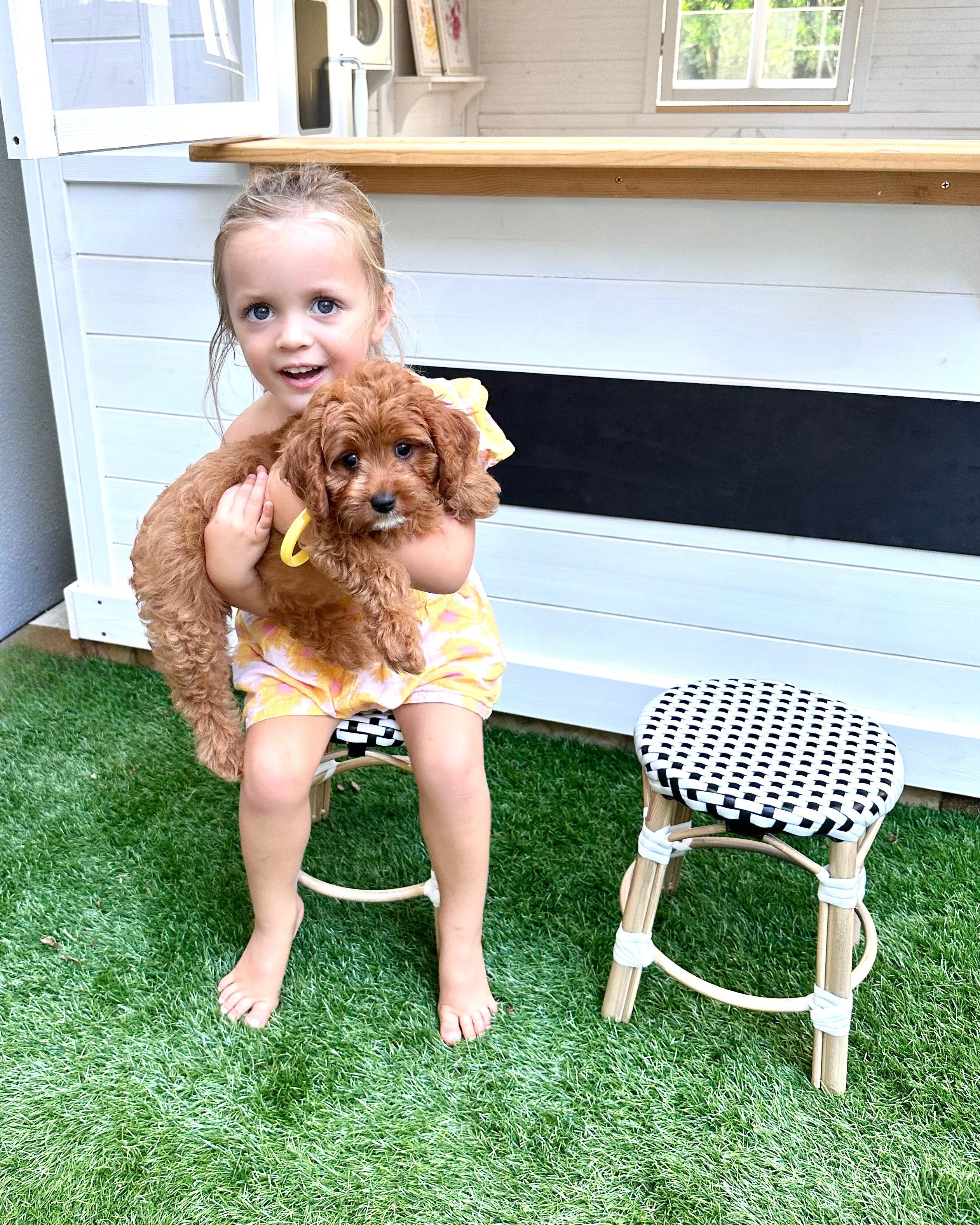 Children's provincial bistro chairs at playhouse window. Cubby house cafe chairs. Girl holding puppy on children's stool