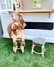 Children's provincial bistro chairs at playhouse window. Cubby house cafe chairs. Girl holding puppy on children's stool